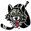 Chicago Wolves