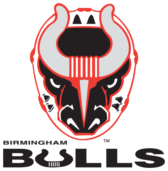 Birmingham Bulls
